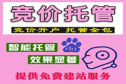 百度广告推广的创意策略与效果分析